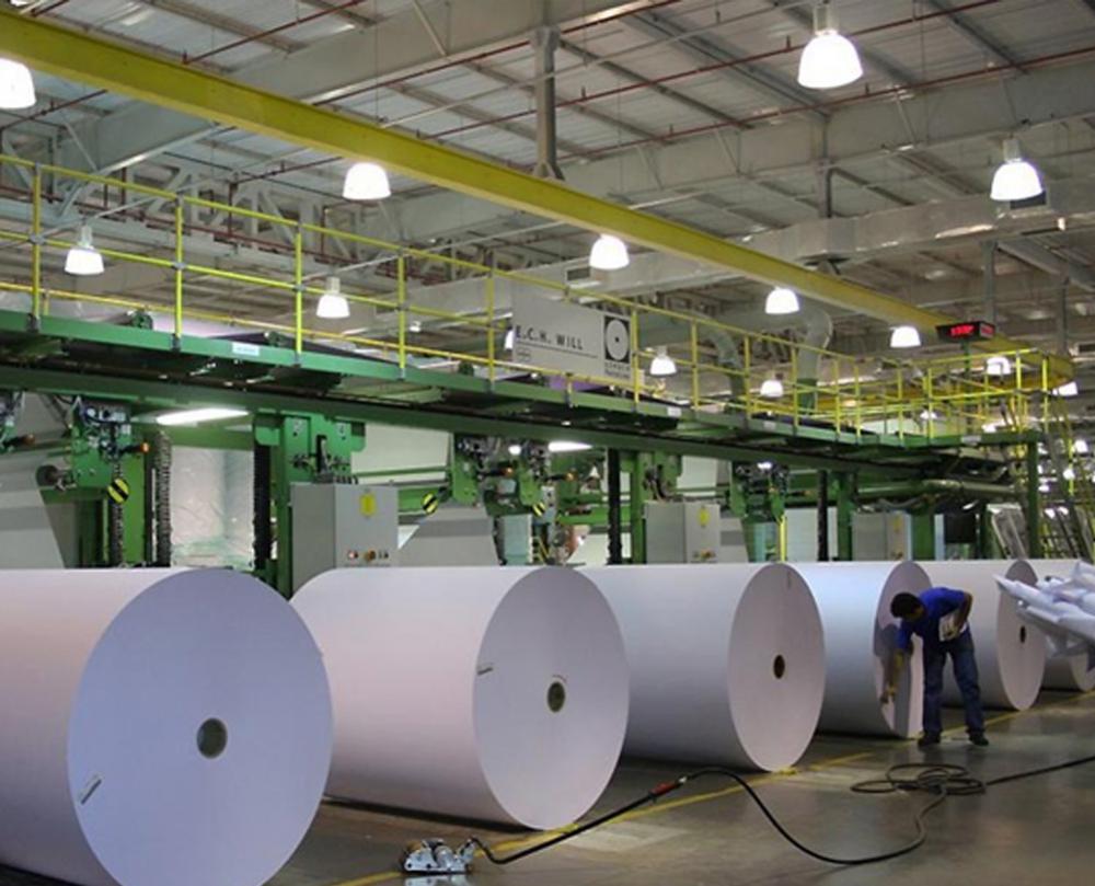 Papel e Celulose